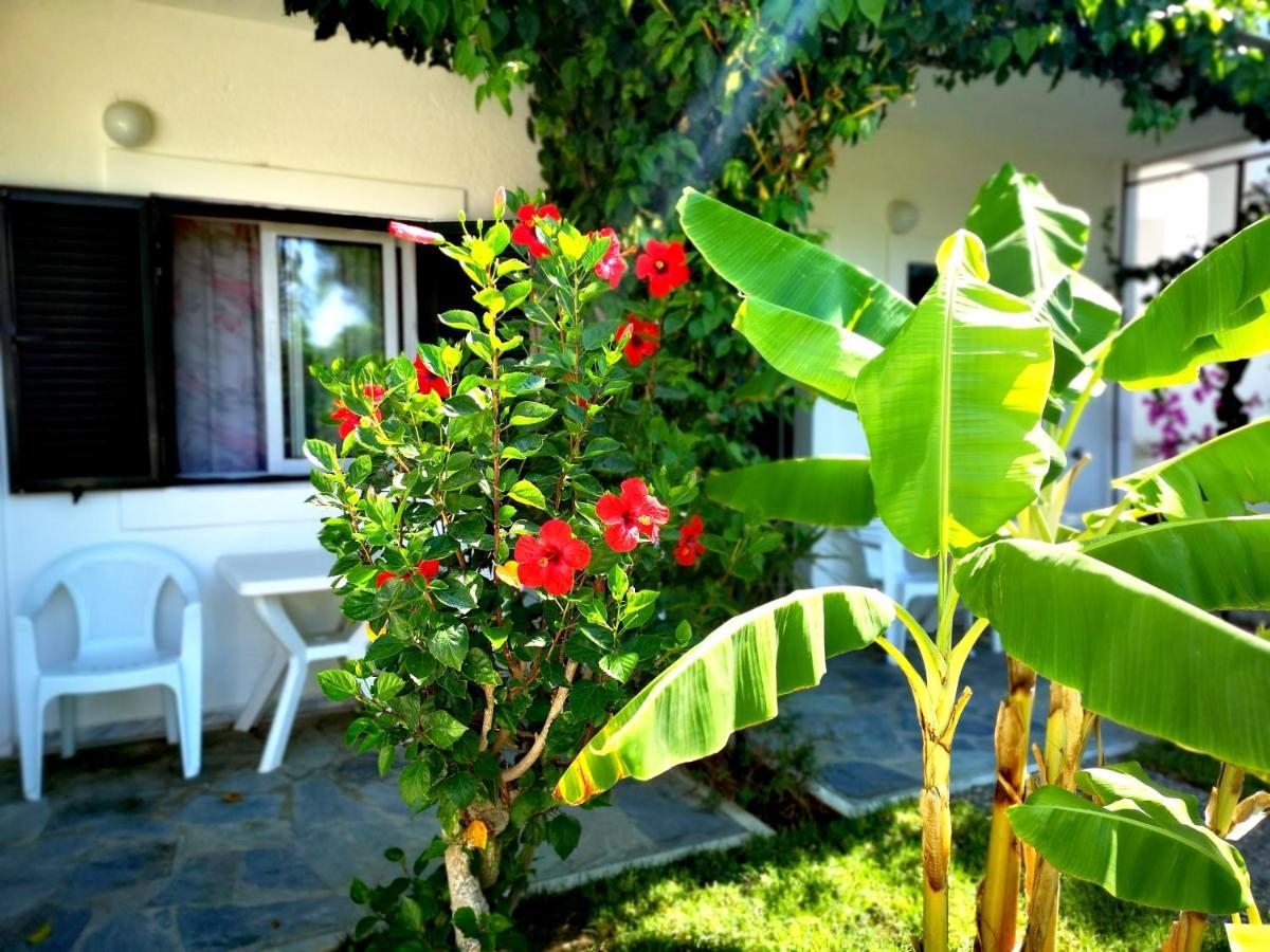 Ilios And Irene Aparthotel Mastichari  Exterior photo